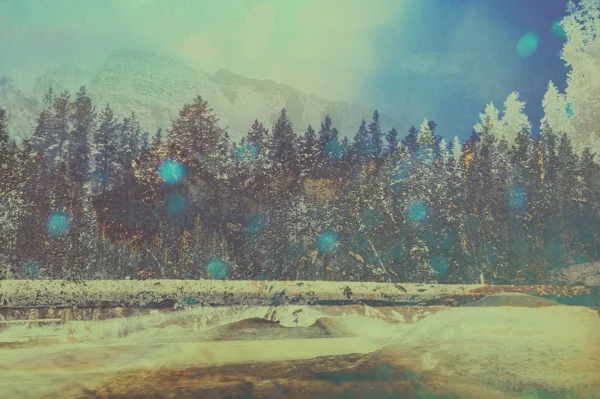 The Blue Mountains - 2014