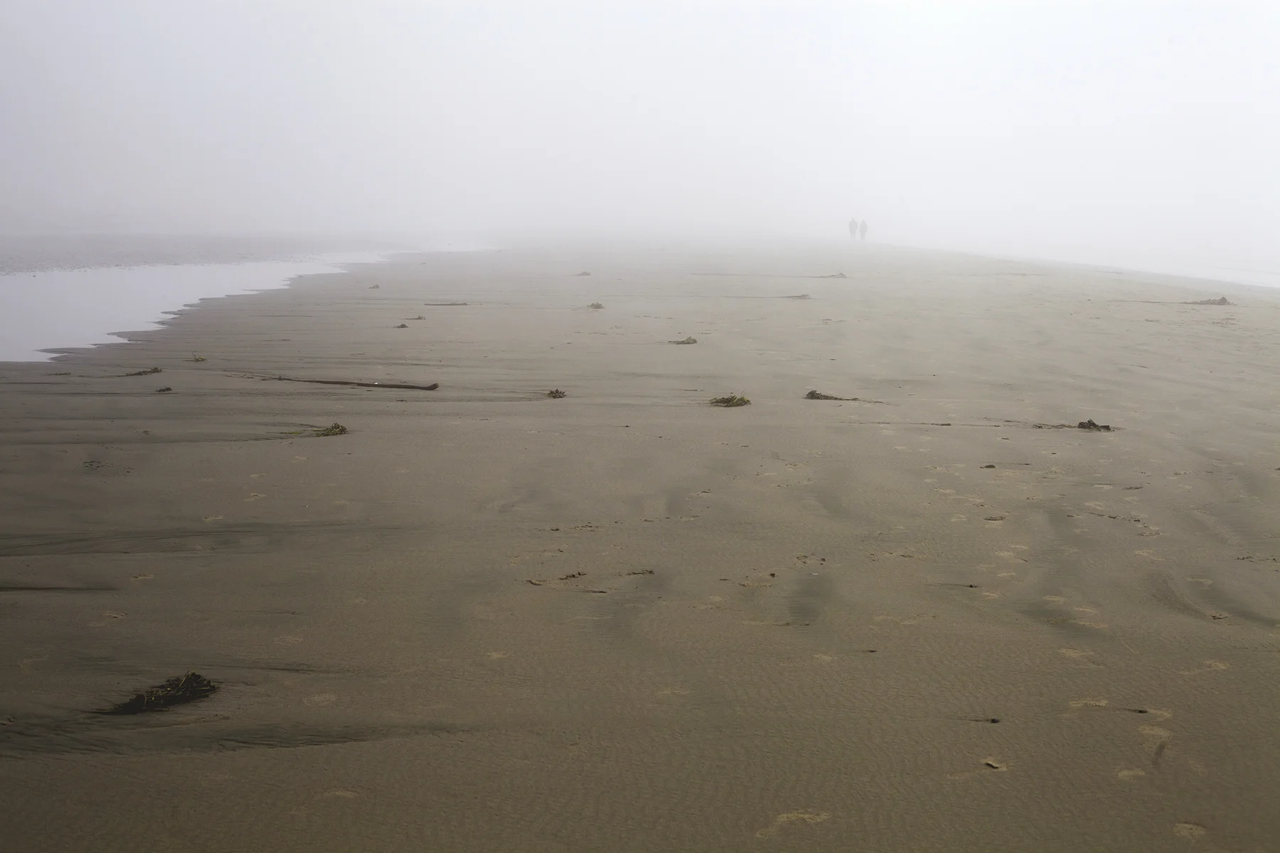 AHoogveld_Tofino_Aug2018-184 Edit Web.jpg