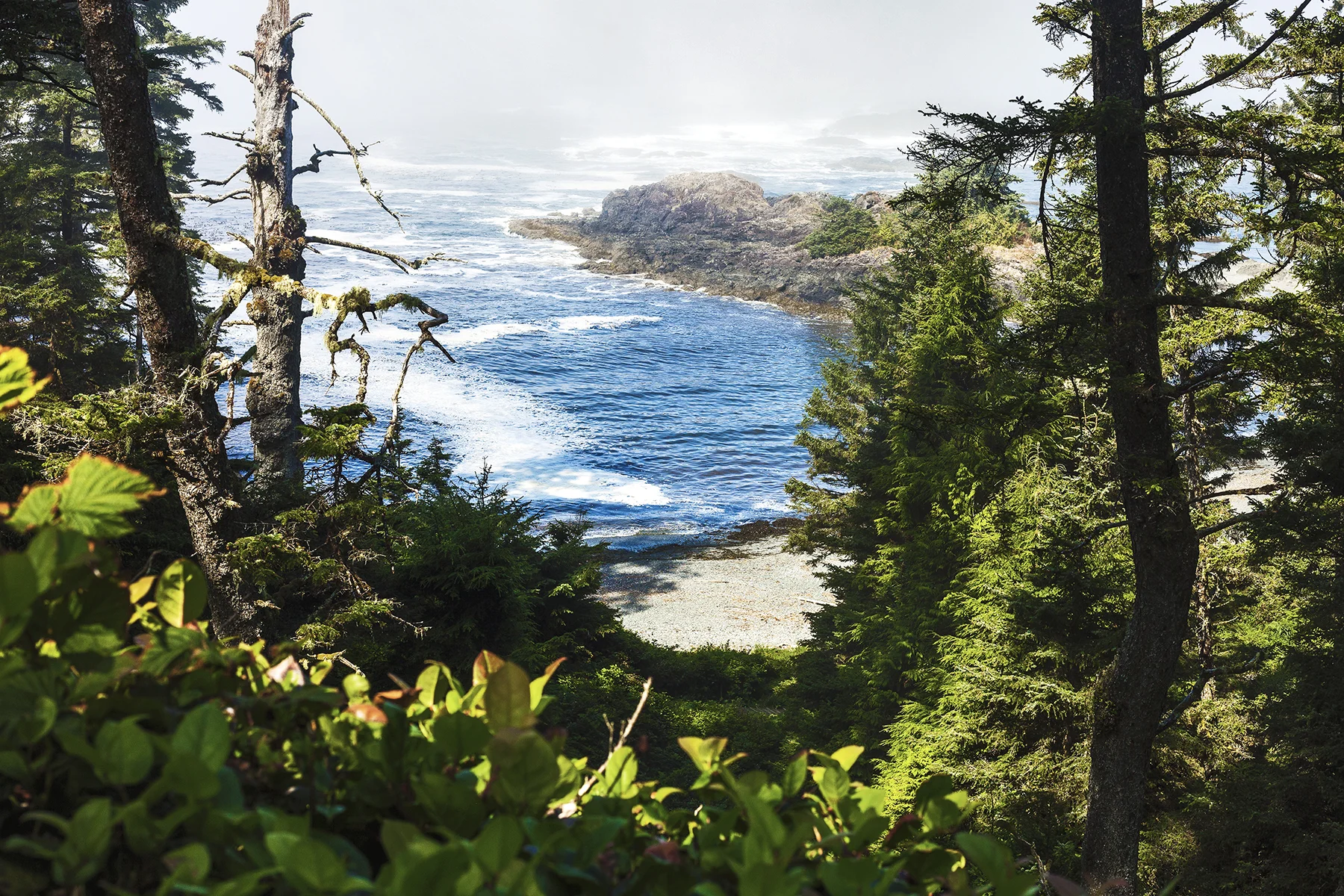 AHoogveld_Tofino_Aug2018-176 Edit Web.jpg