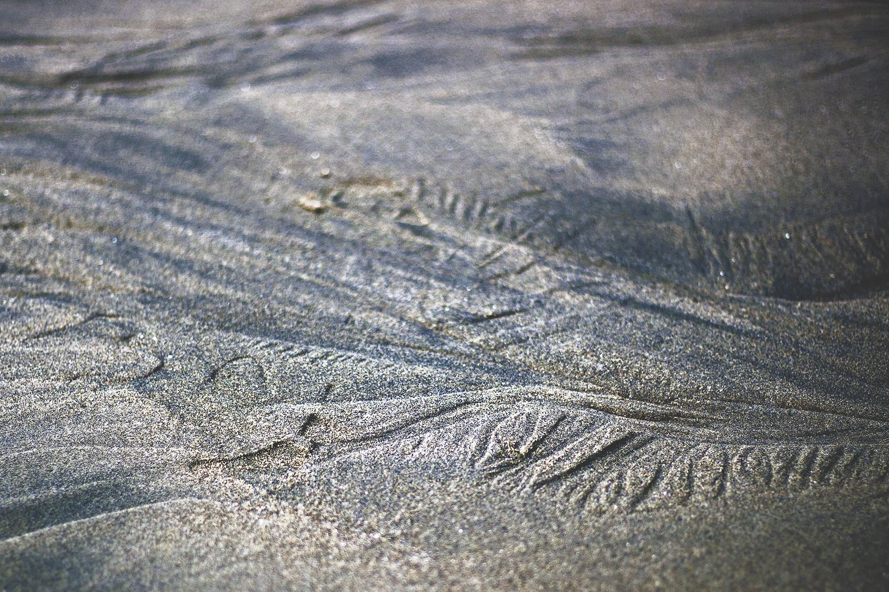 AHoogveld_Tofino_Aug2018-194 Edit Web.jpg