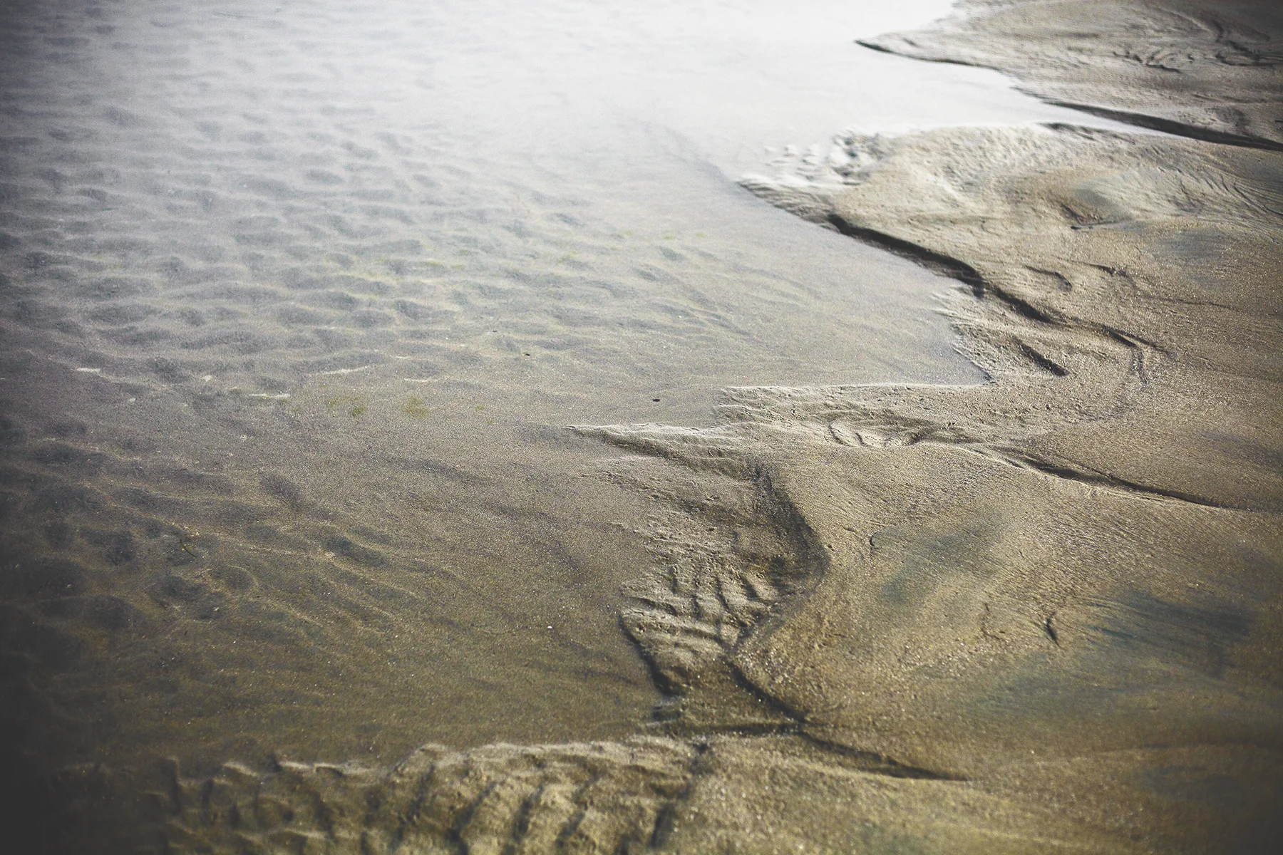 AHoogveld_Tofino_Aug2018-206 Edit Web.jpg