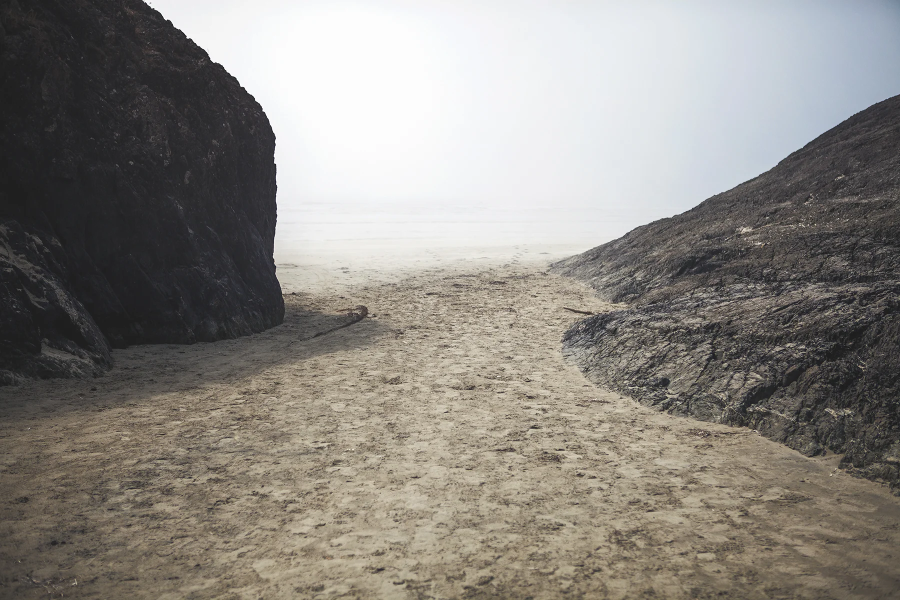 AHoogveld_Tofino_Aug2018-228 web.jpg