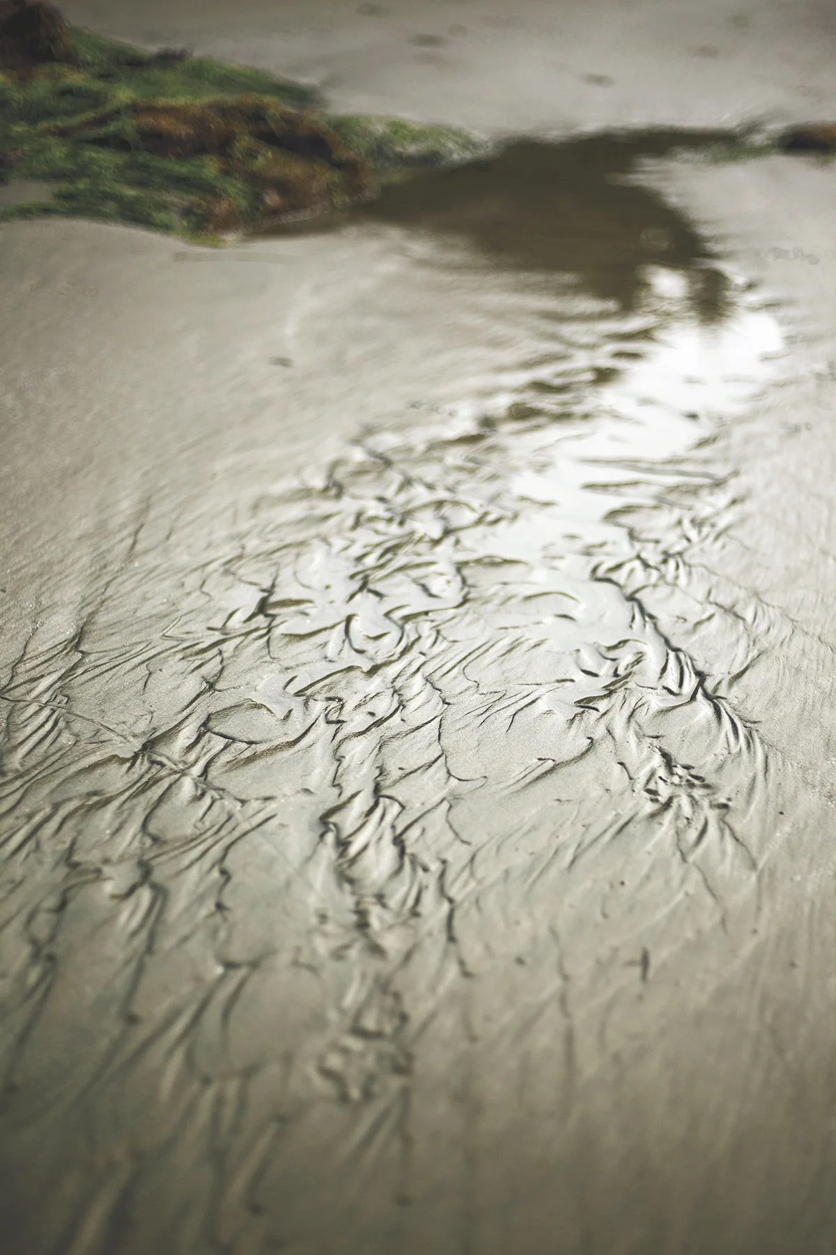 AHoogveld_Tofino_Aug2018-413 Edit Web.jpg