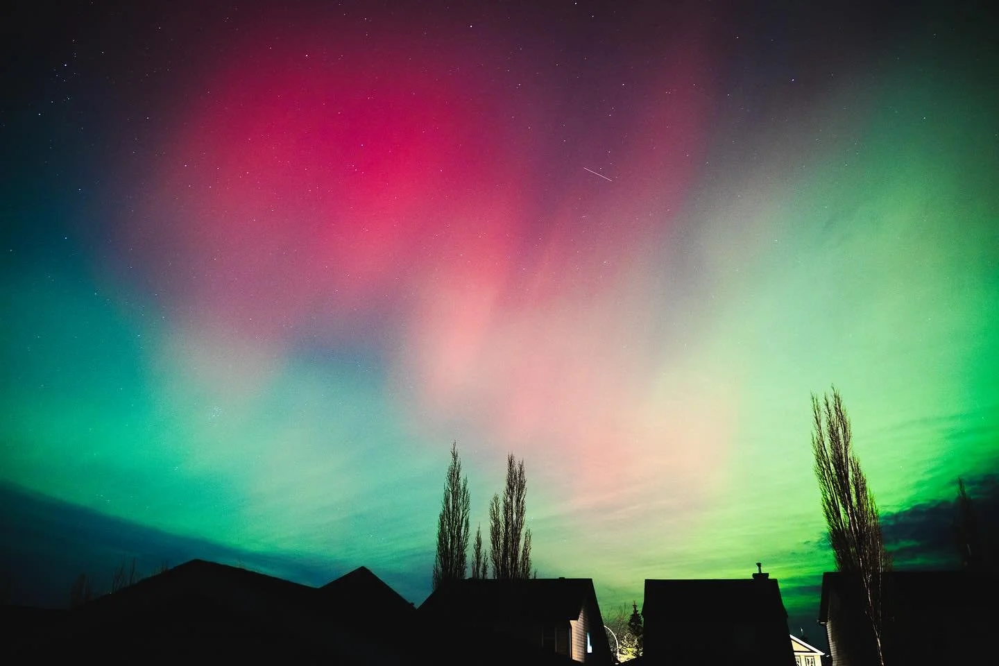 Quite the show last night. Had to share a few. 💫 

#aurora #yyc #nightphotography