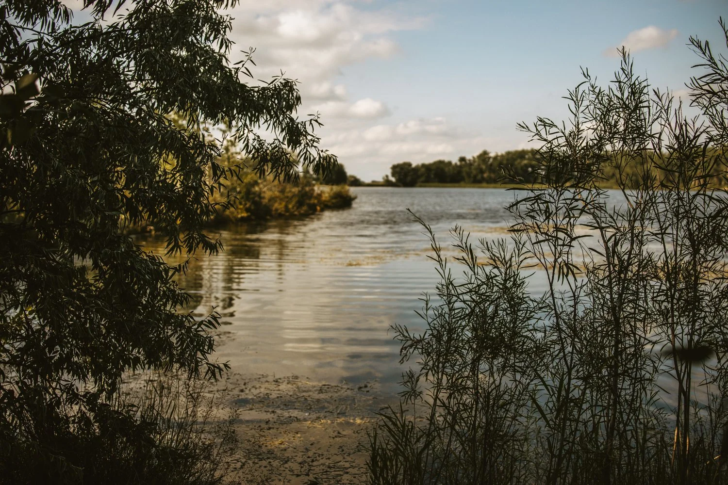 Park Lake Extras-05.jpg