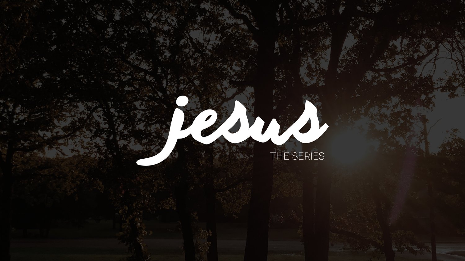 Jesus the Series - Week 2 episode artwork