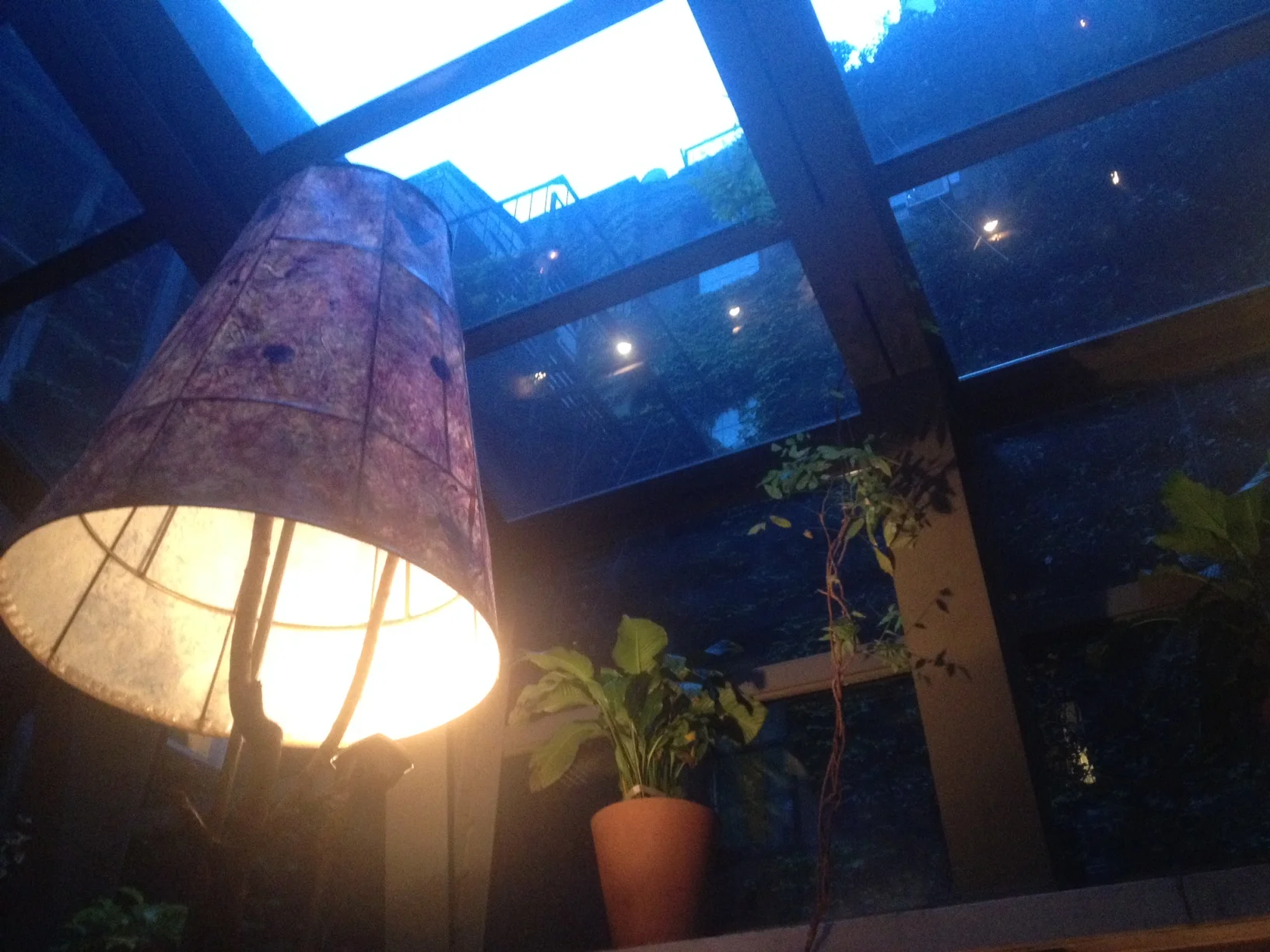 Enclosed Garden with HUGE lamps