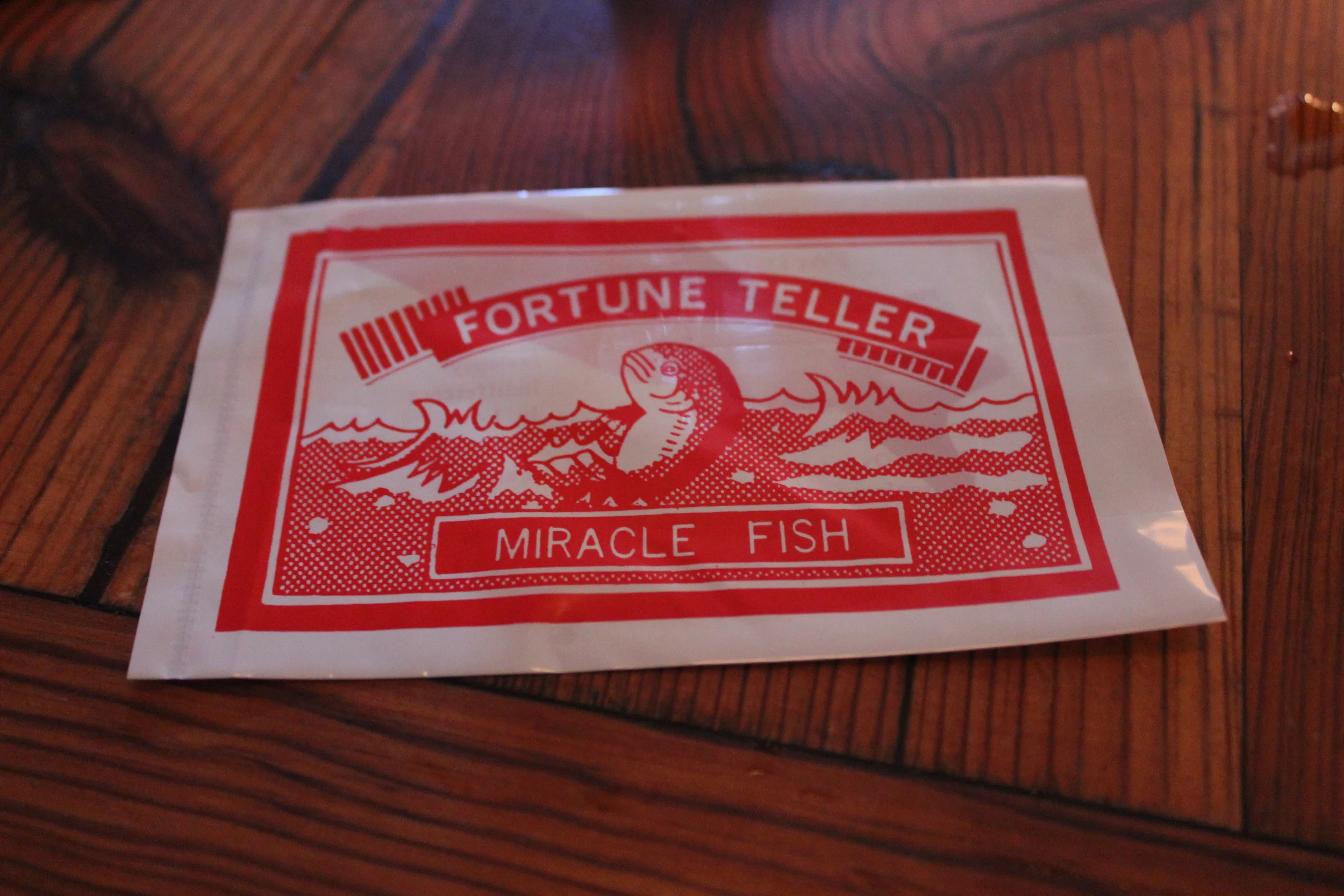 Your Future is in the Palm of Your Hand!