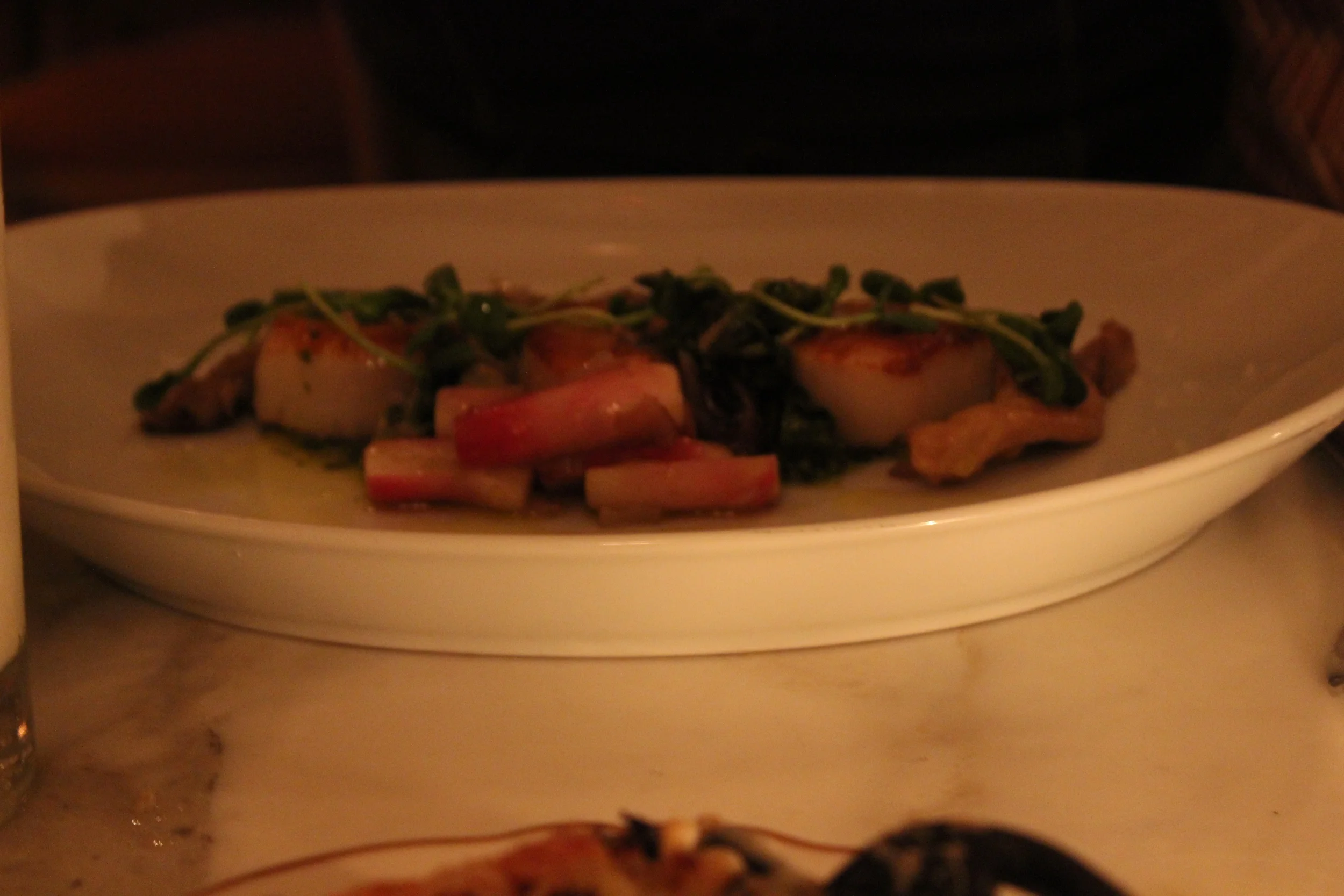 Sea Scallops