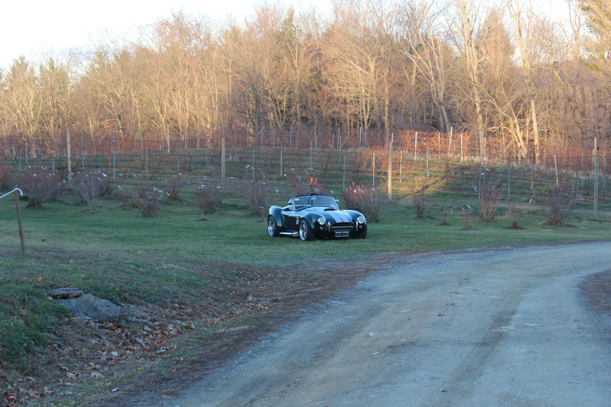 In addition to growing grapes, this vineyard grows vintage sports cars