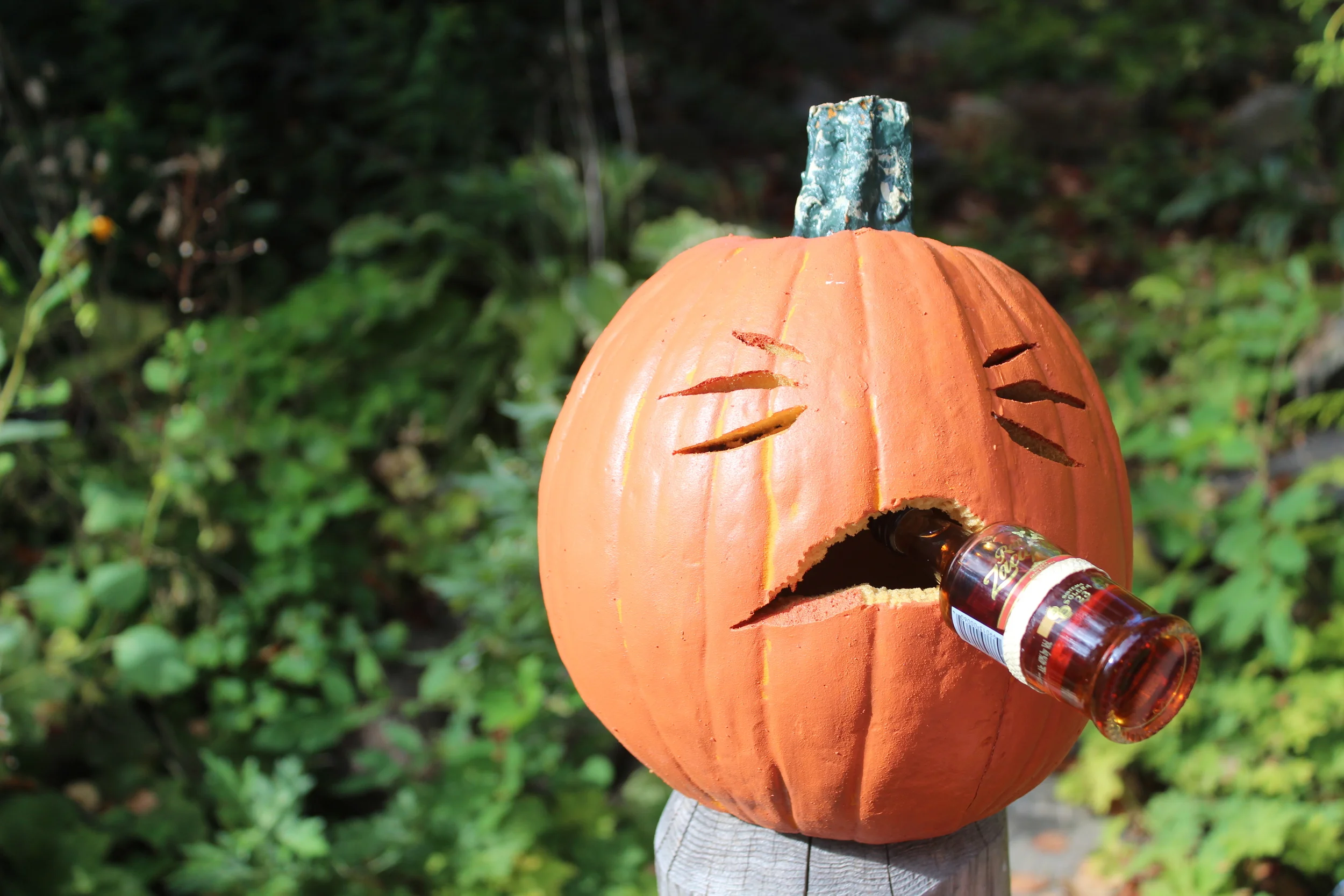 Happy Halloween to you too!