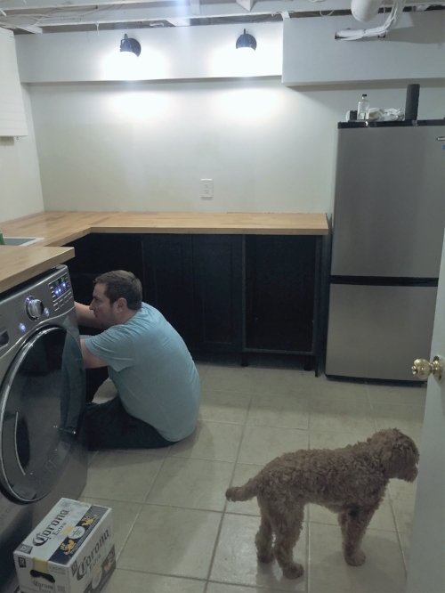 All hands & paws on deck! With only tiling & accessorizing left to do, that finish line is closer than we think.