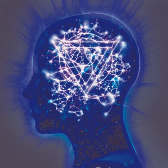 piccit_enter_shikari___the_mindswee_342232925.640x0.jpg