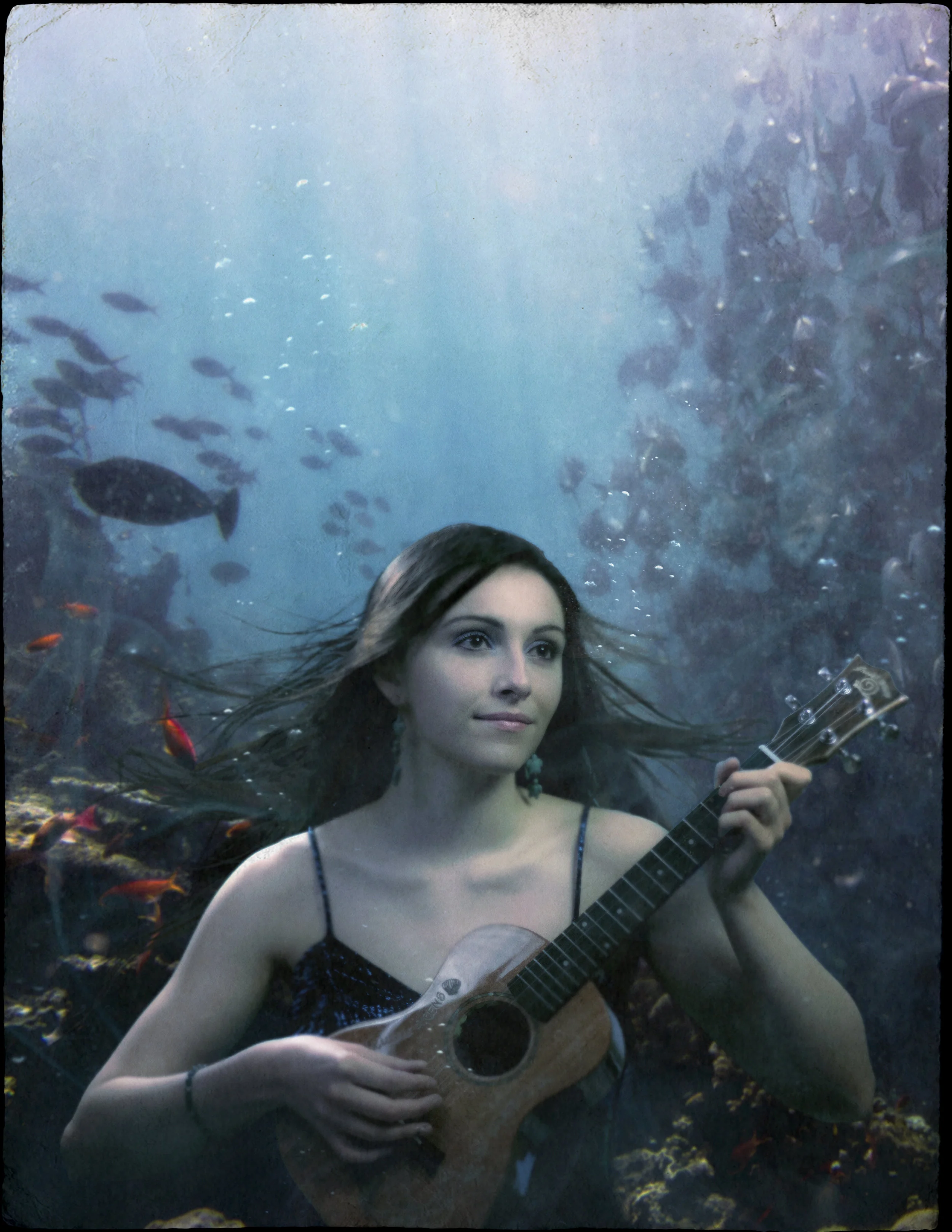 Maiah Wynne Uke Sirens Promotional Graphic