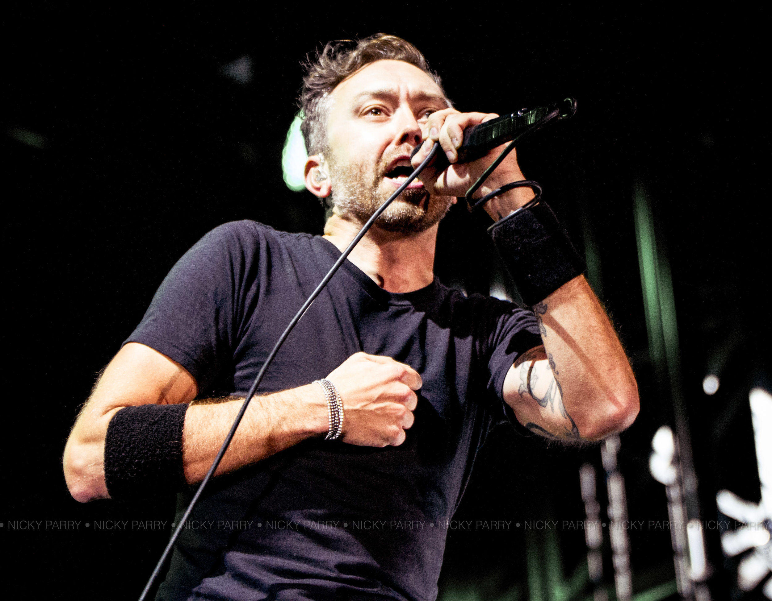 RiseAgainst_SelfHelpDetroit_NickyParry_10717_6.jpg