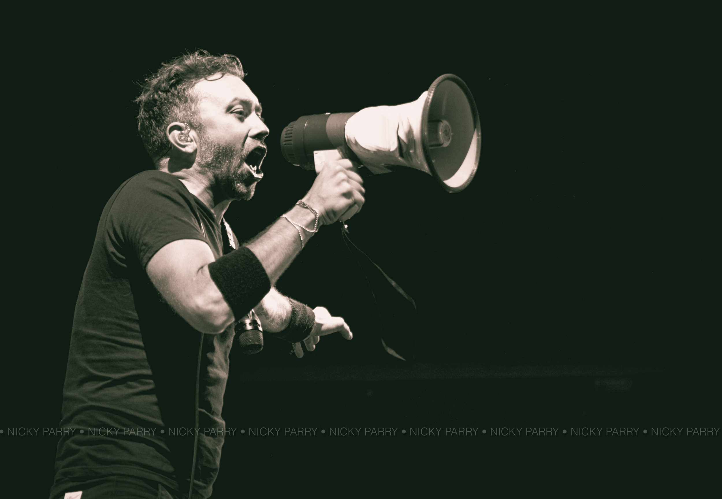 RiseAgainst_SelfHelpDetroit_NickyParry_10717_9.jpg