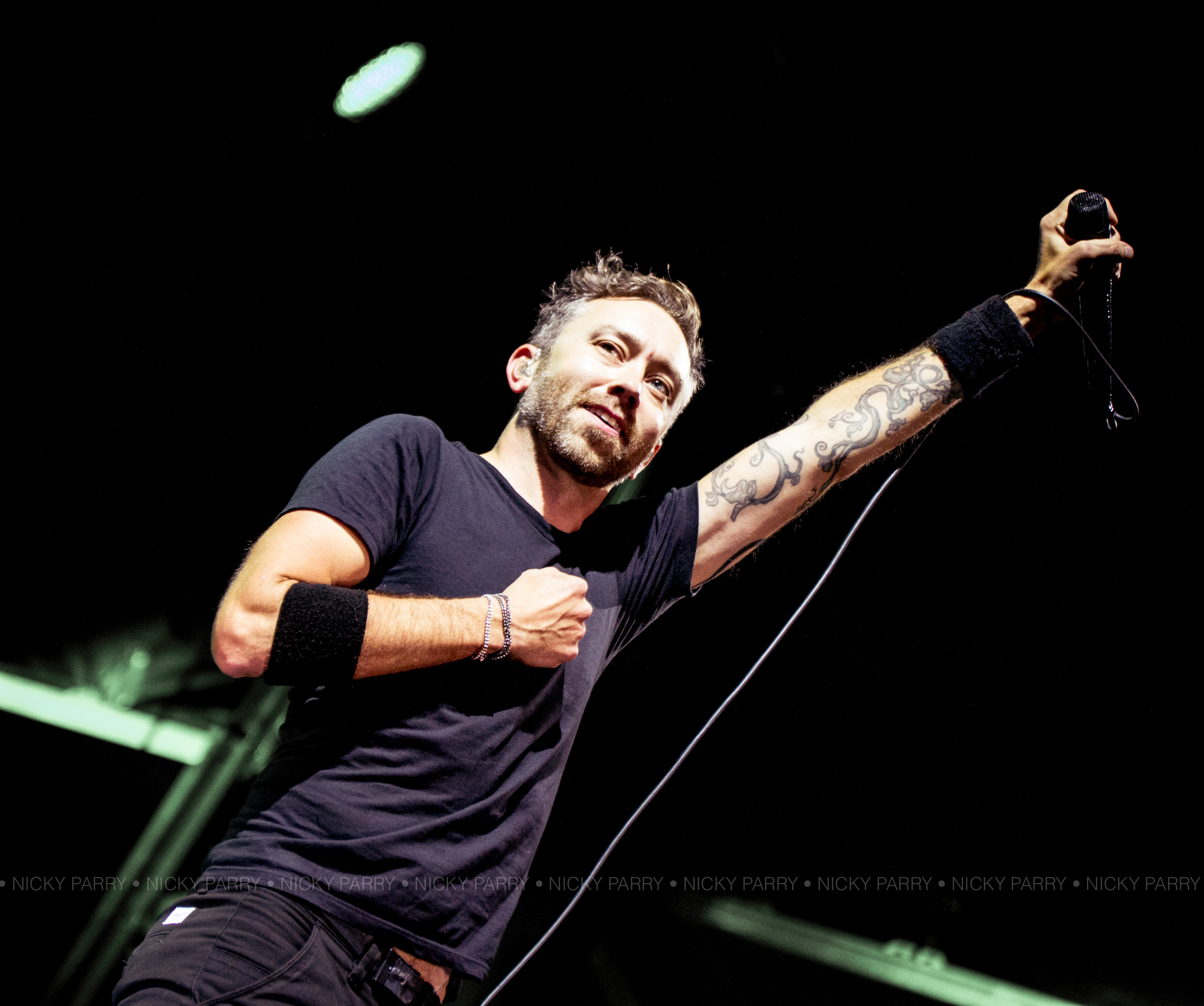 RiseAgainst_SelfHelpDetroit_NickyParry_10717_11.jpg