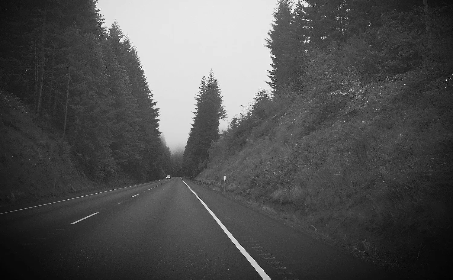 photo (61).JPG