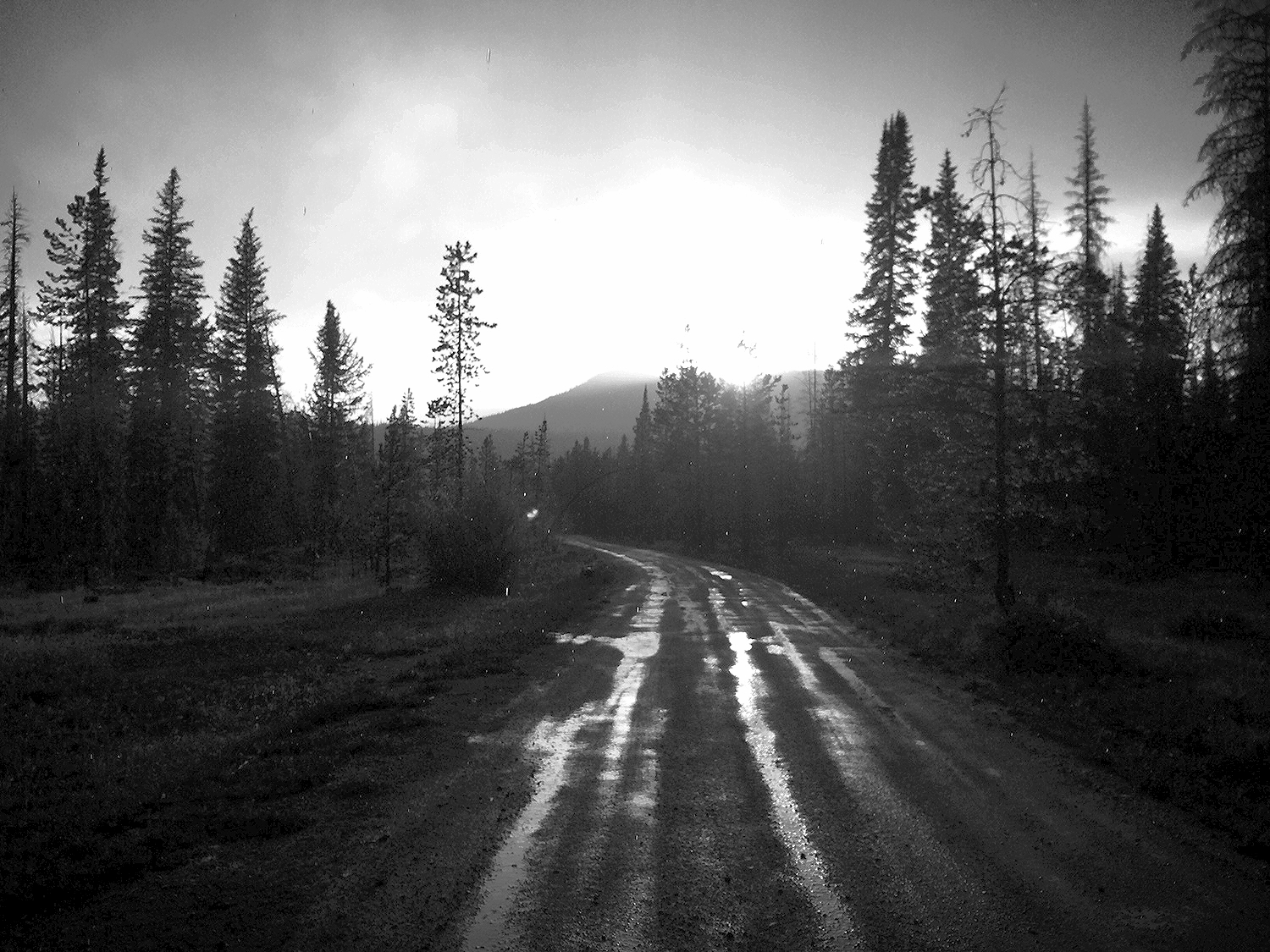 photo (62).JPG
