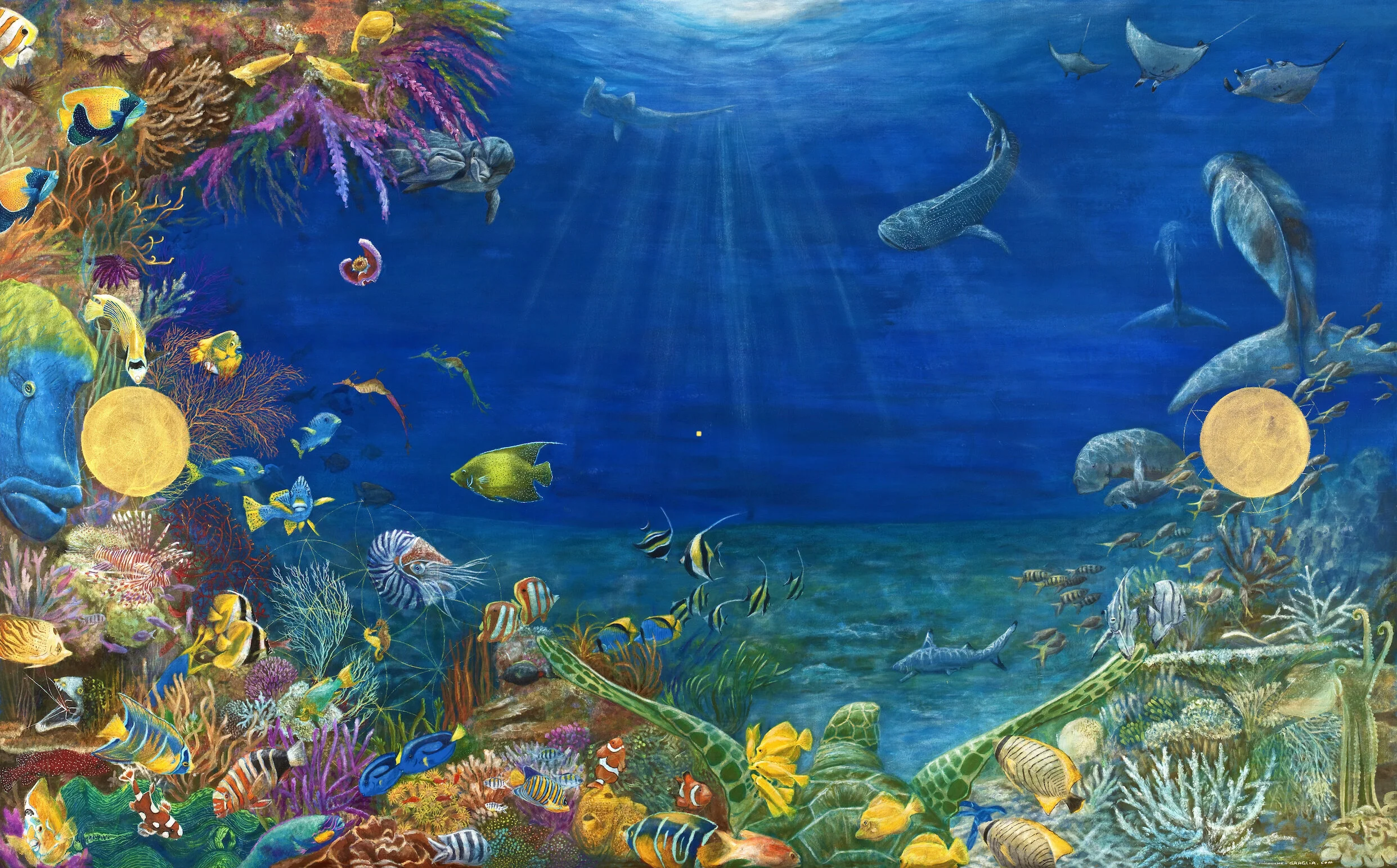 For The Love of The Great Barrier Reef