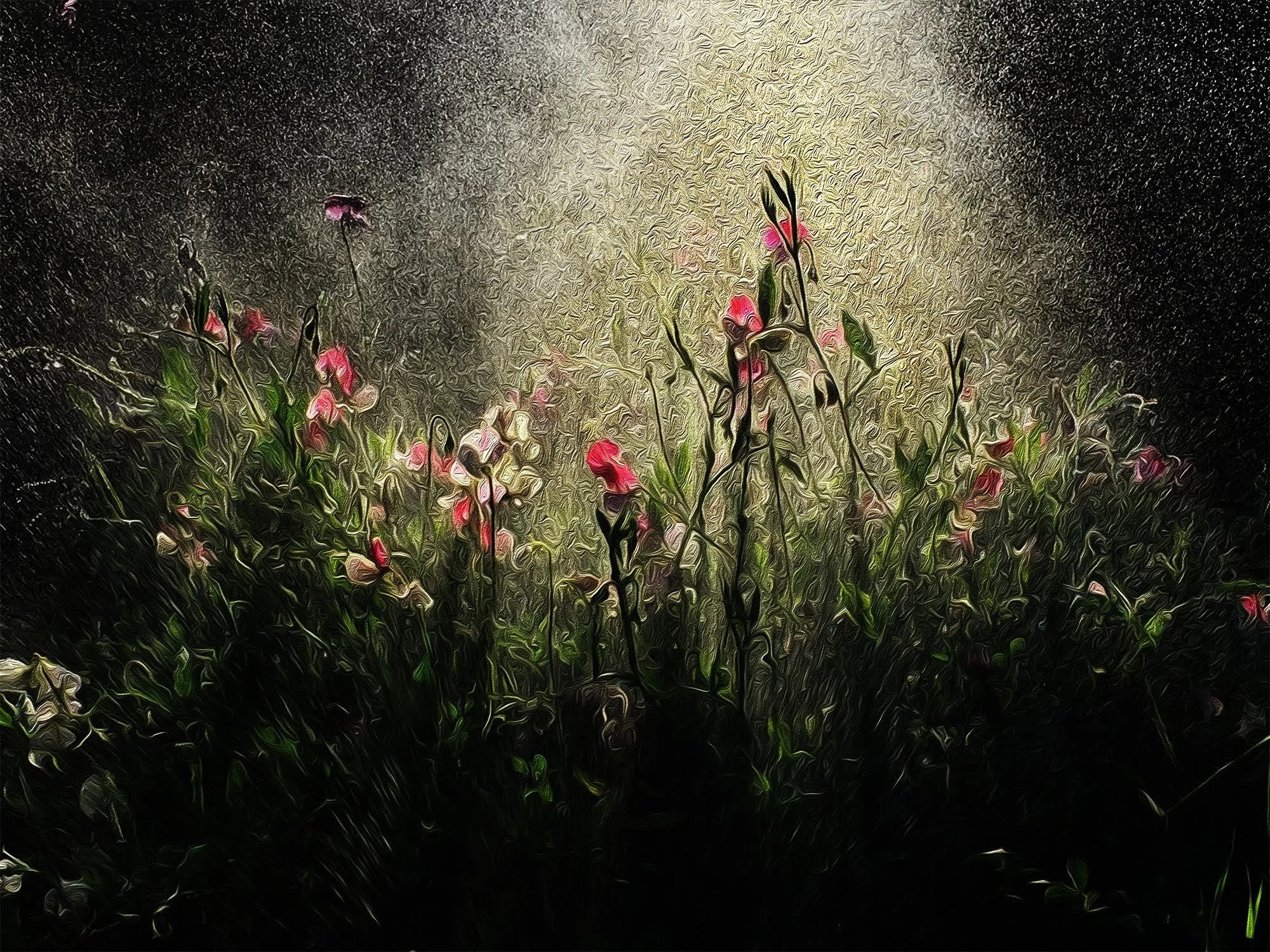 Contemplative Arts Image 2.jpg