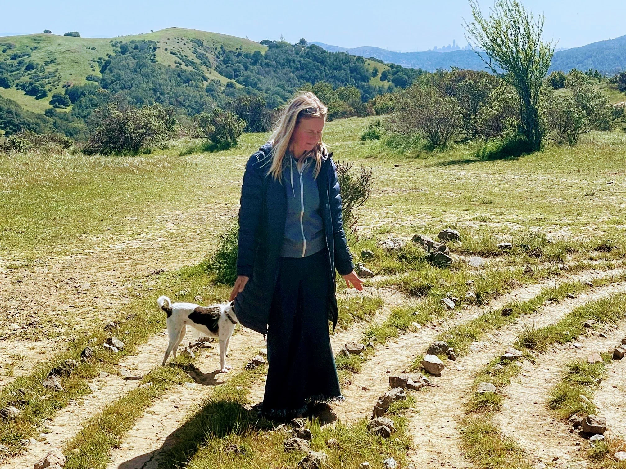 IMG_0531.jpg