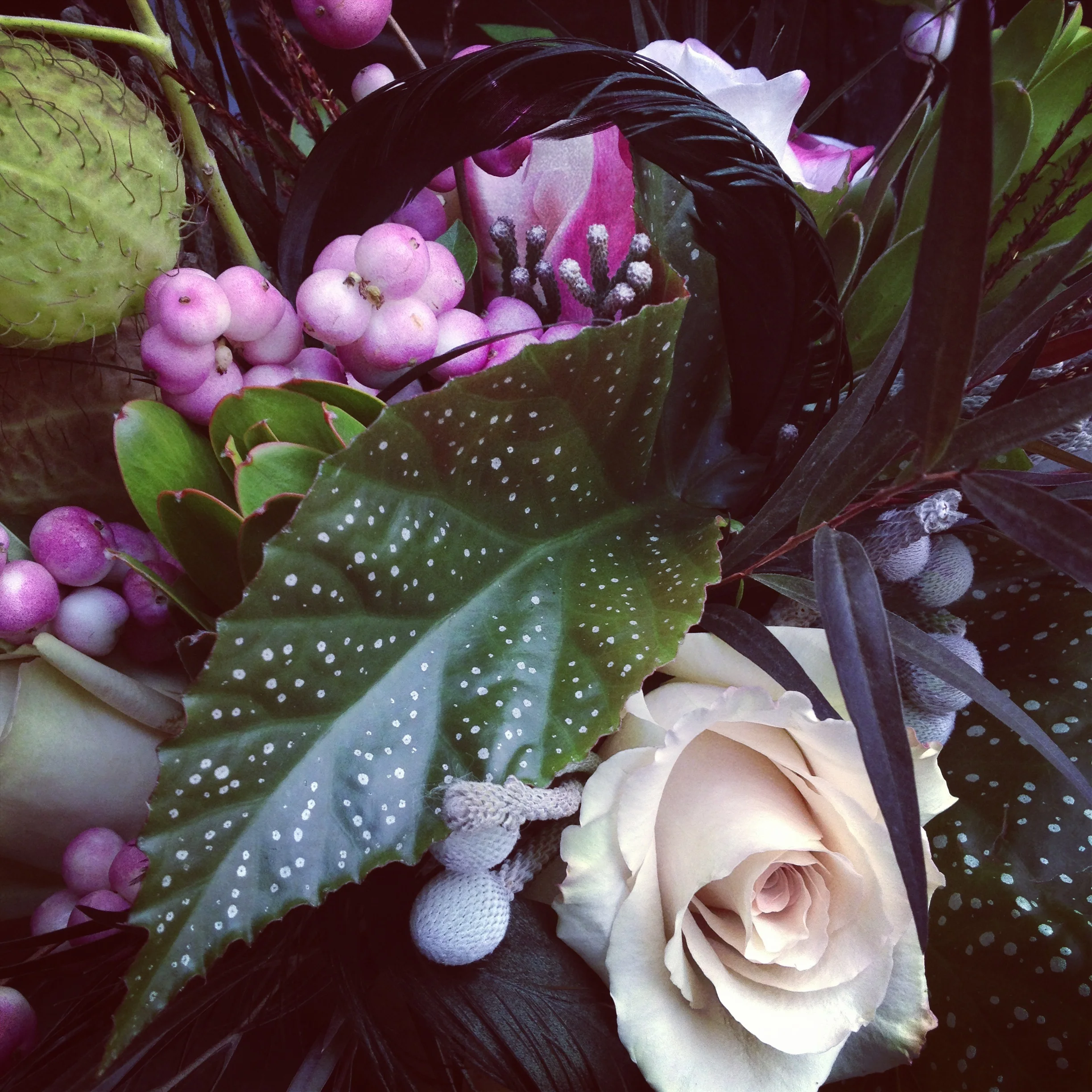 photo-4.JPG