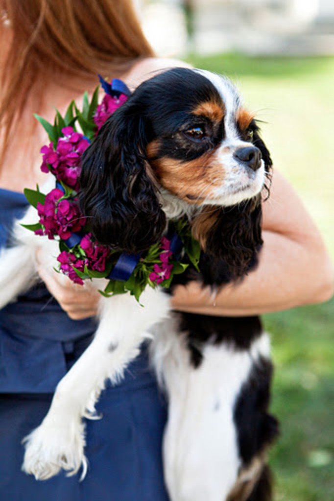 Screen Shot 2014-01-12 at 7.36.46 PM.png