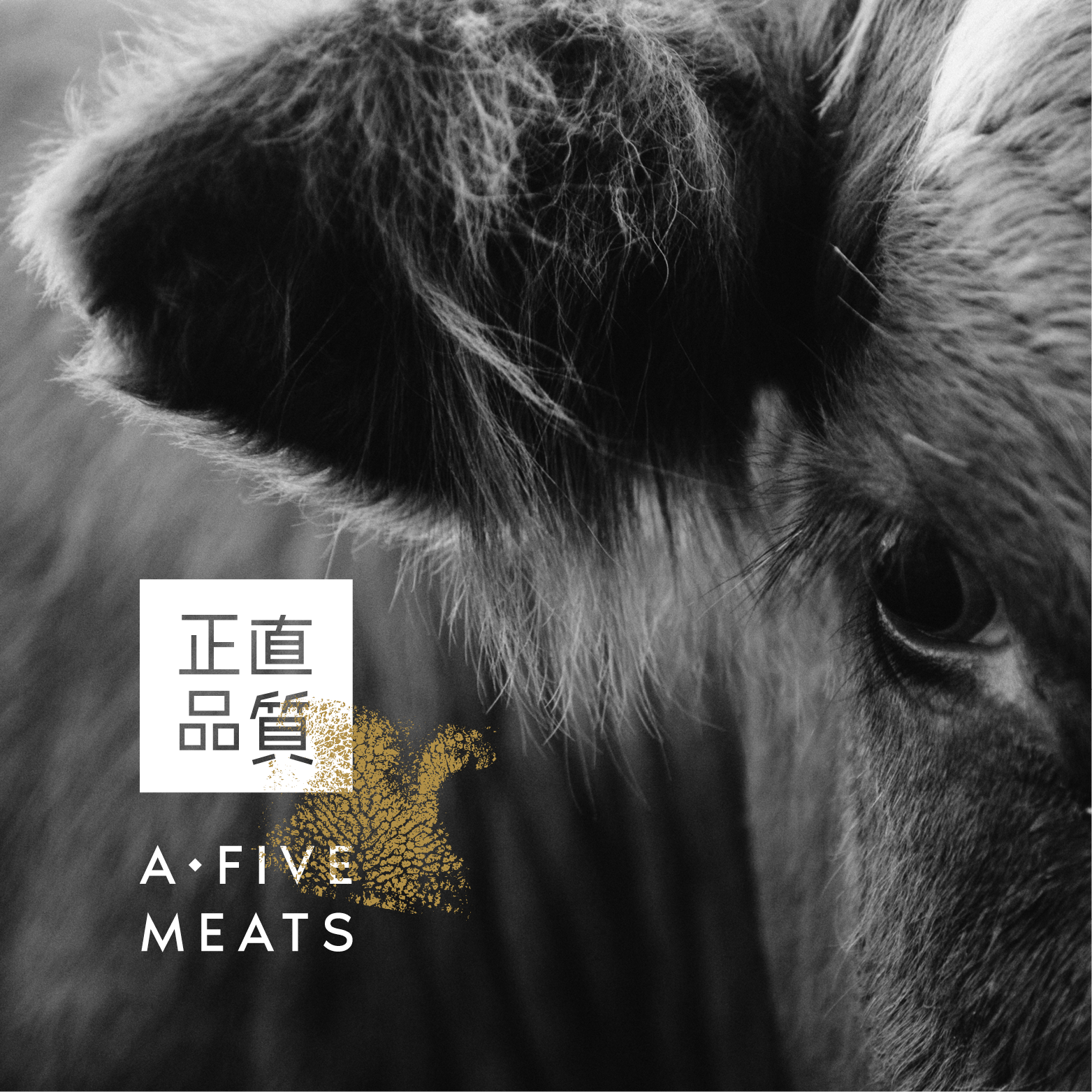 FDCo-AFiveMeats-TN.png
