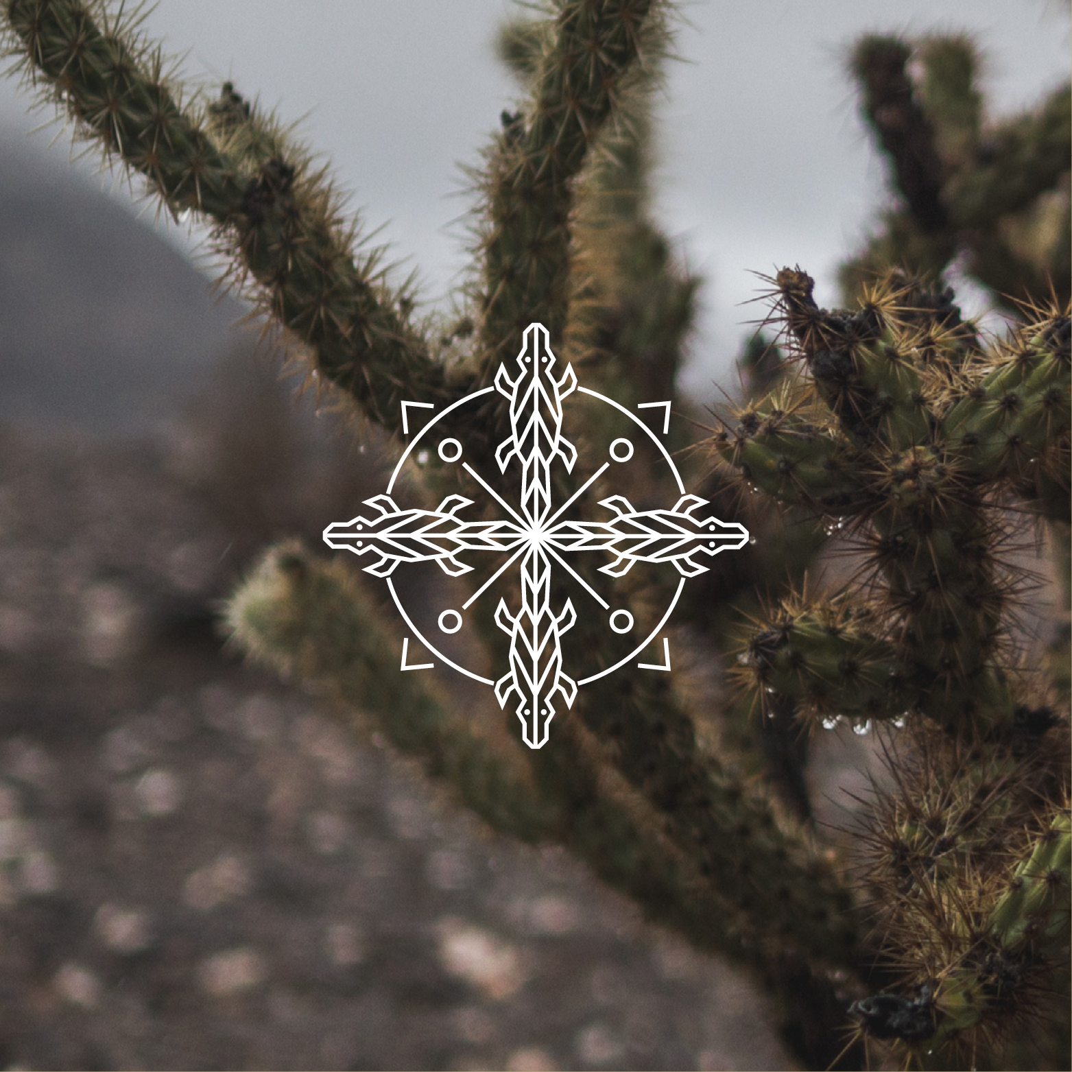 TheNaturalist-FDCo-TN2.png