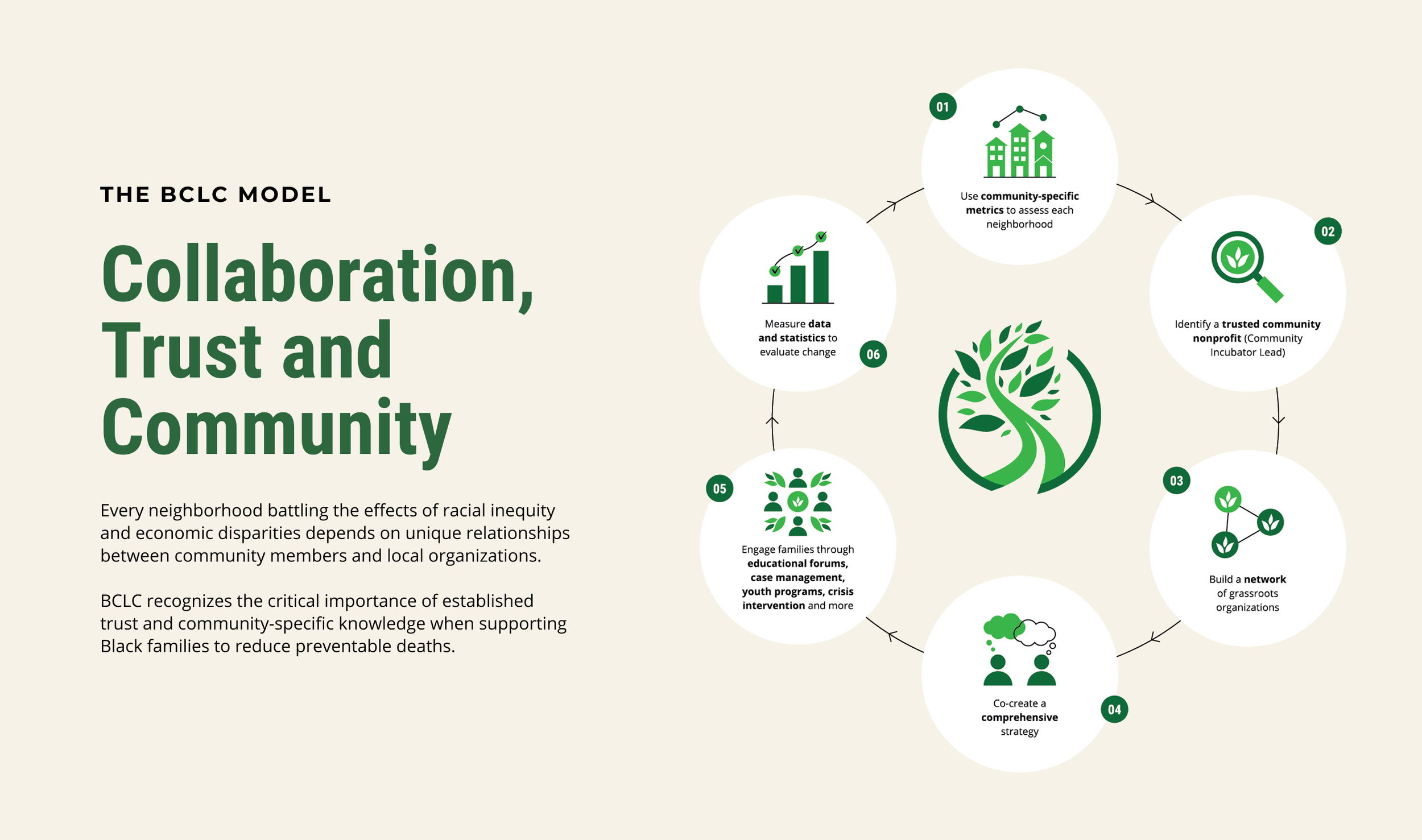 A clear custom vector infographic layout illustrating the organizational impact model for a nonprofit brand.