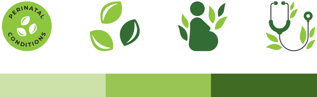 A custom vector icon set and coordinating color palette for a nonprofit subbrand initiative.