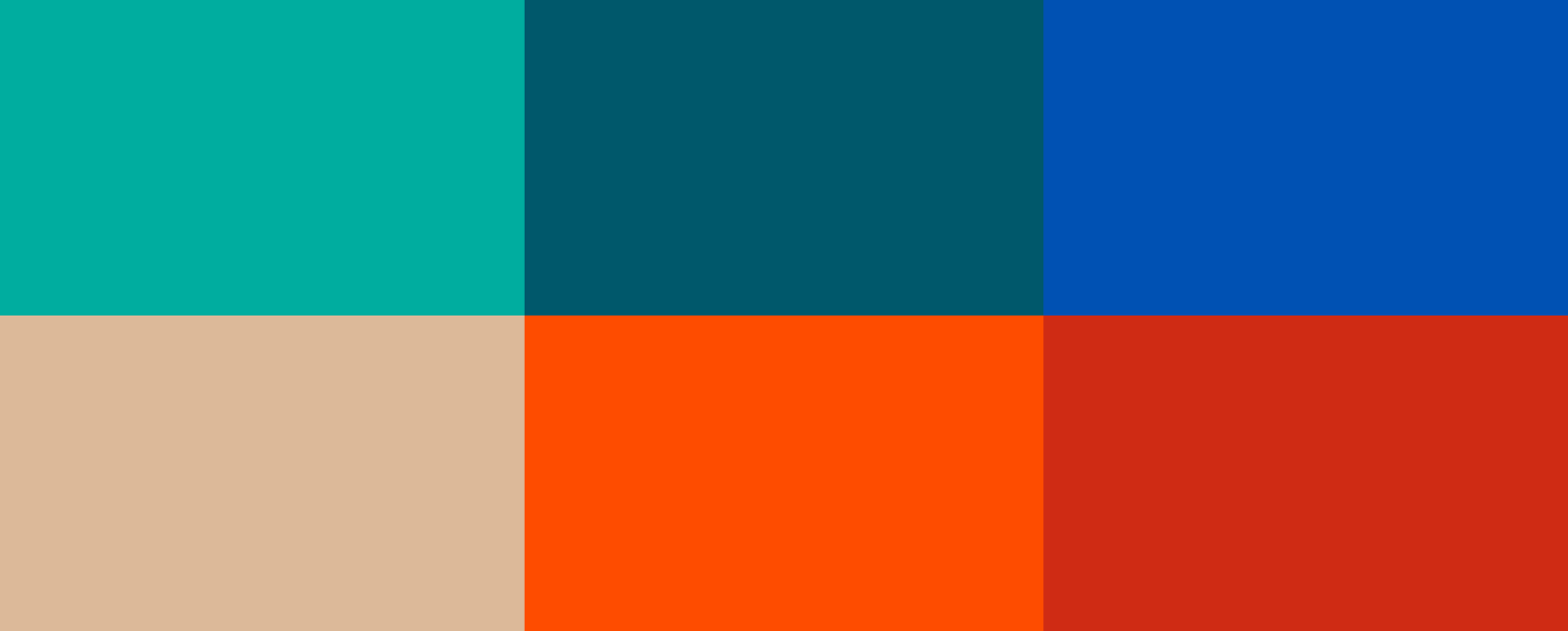 Bold and unique brand color palette guidelines for the education nonprofit.