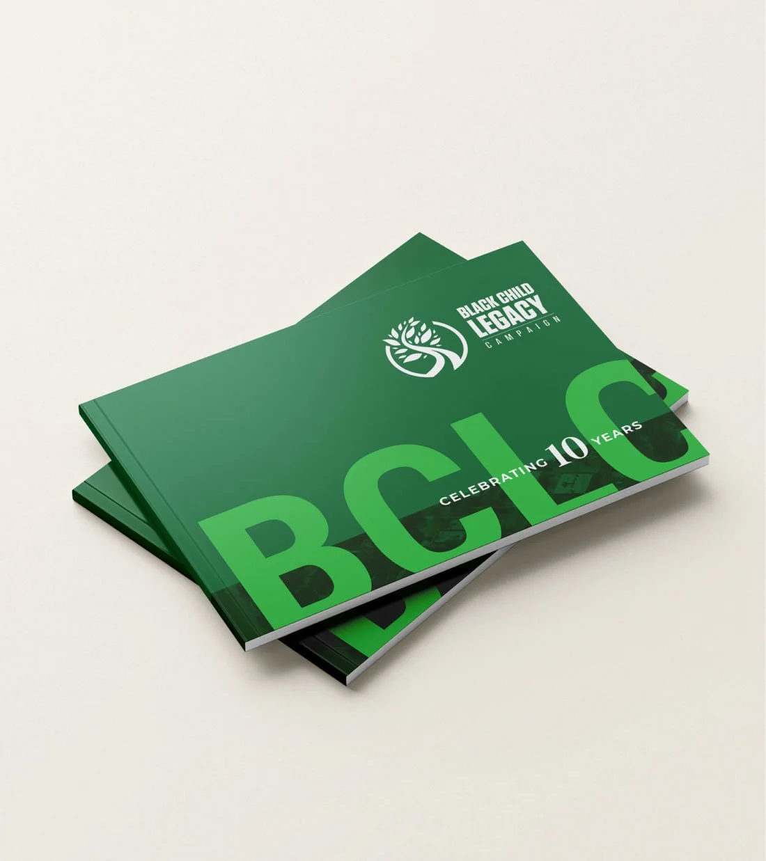 A professional print mockup showcasing a stacked arrangement of custom booklet cover designs.