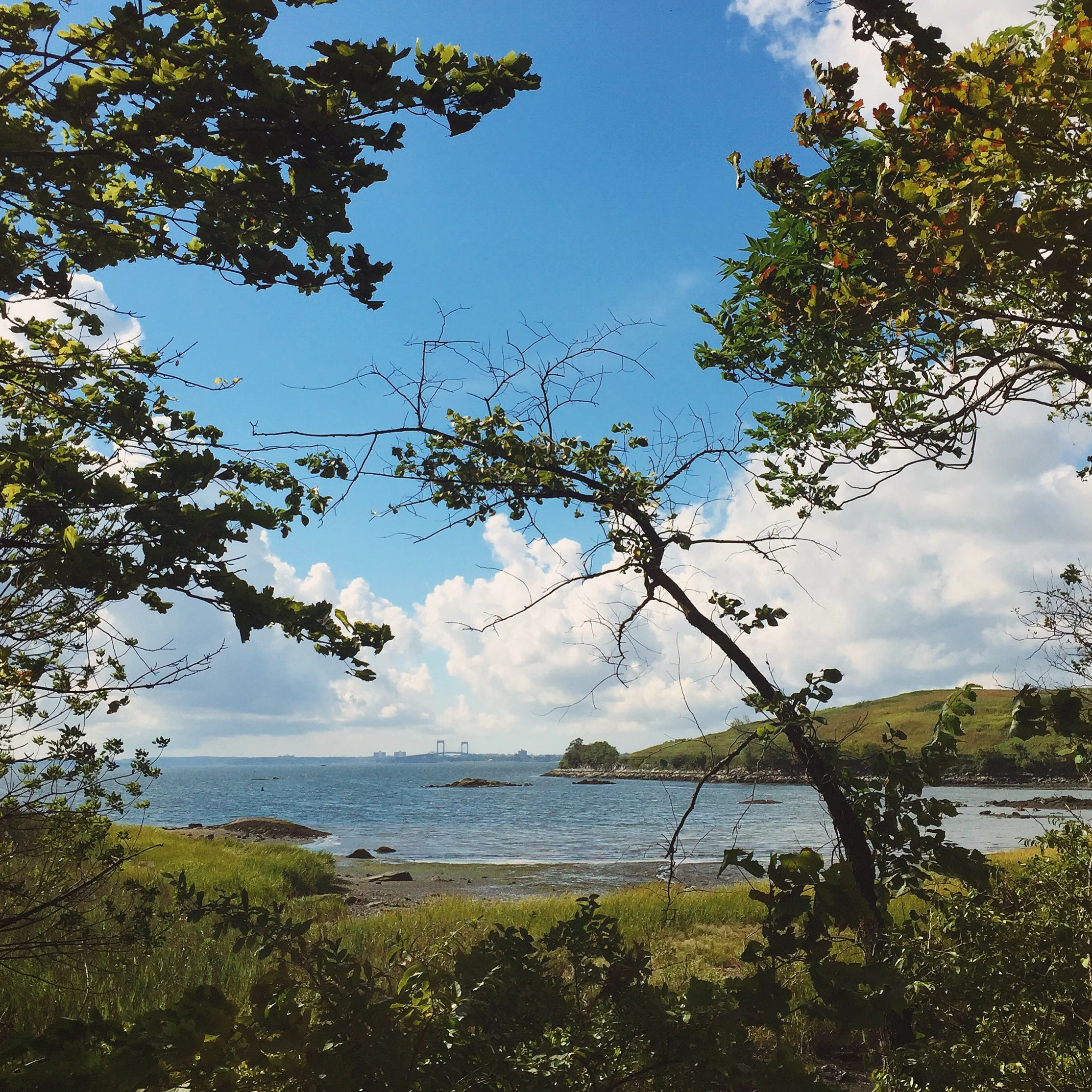 iphone shots: july - august