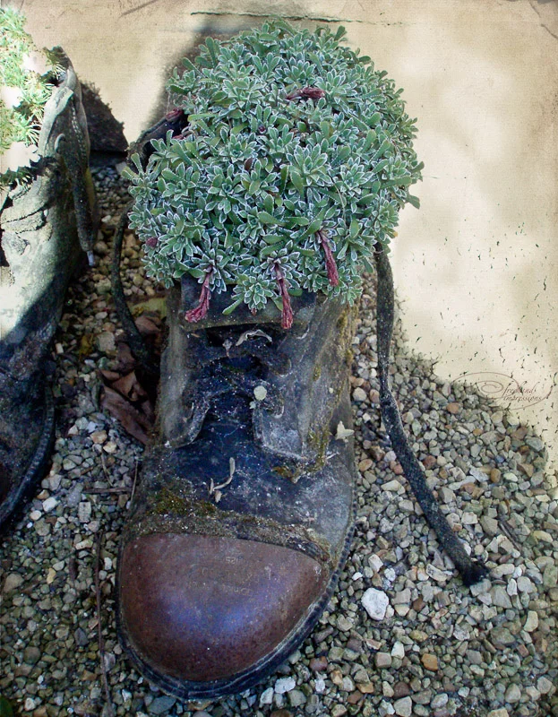 gardeners boot-1.jpg