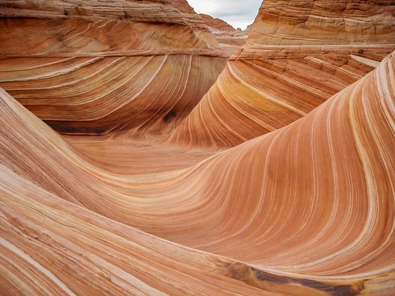 Wave--4.jpg