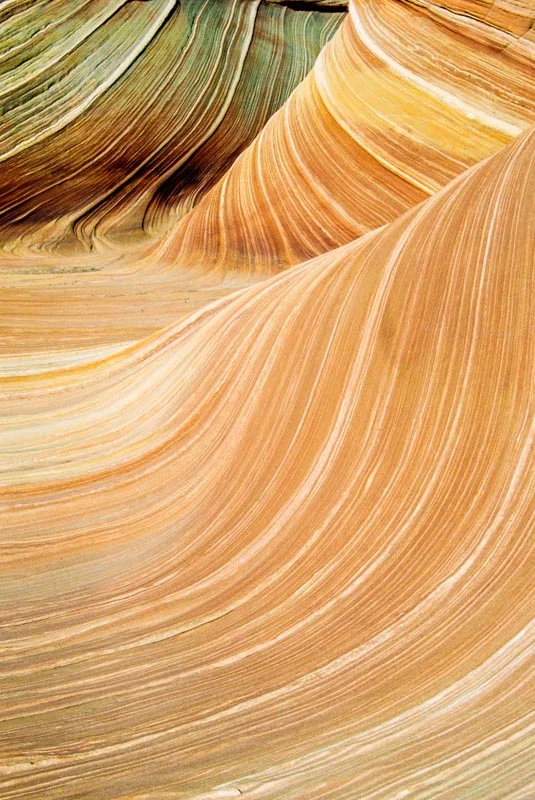Wave--2.jpg