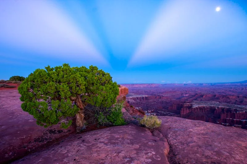 Moab Shooting Star-.jpg