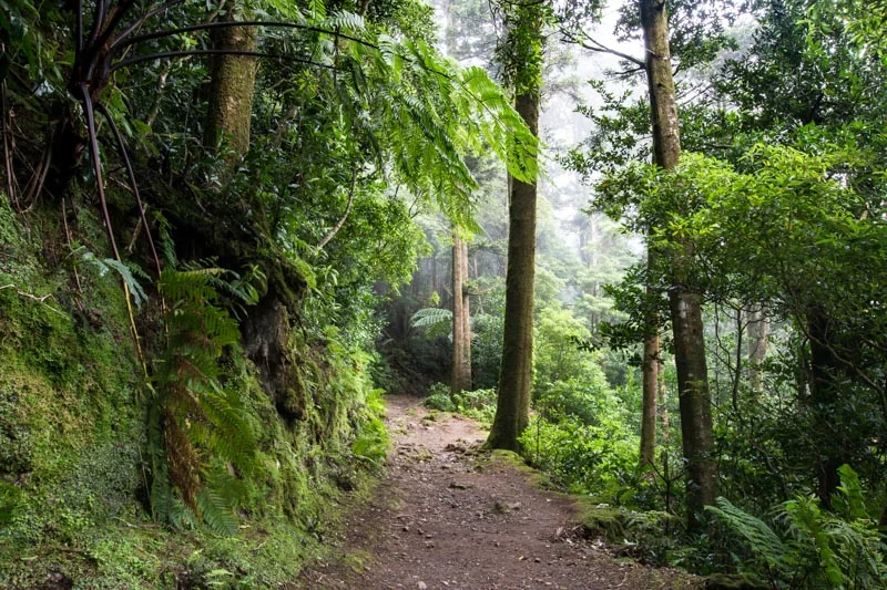 Azores--3.jpg