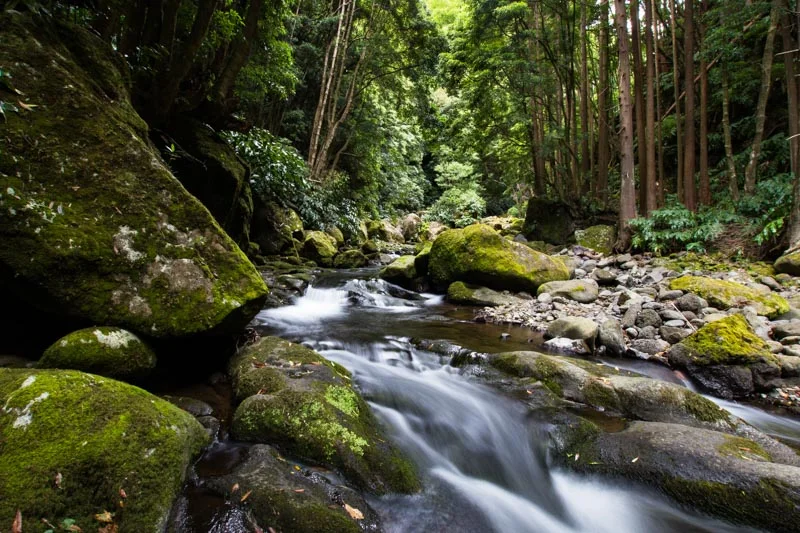Azores--6.jpg