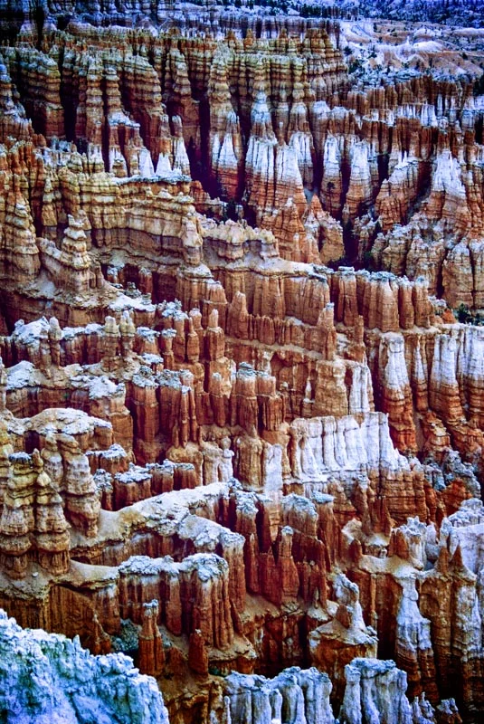 US Desert--9.jpg