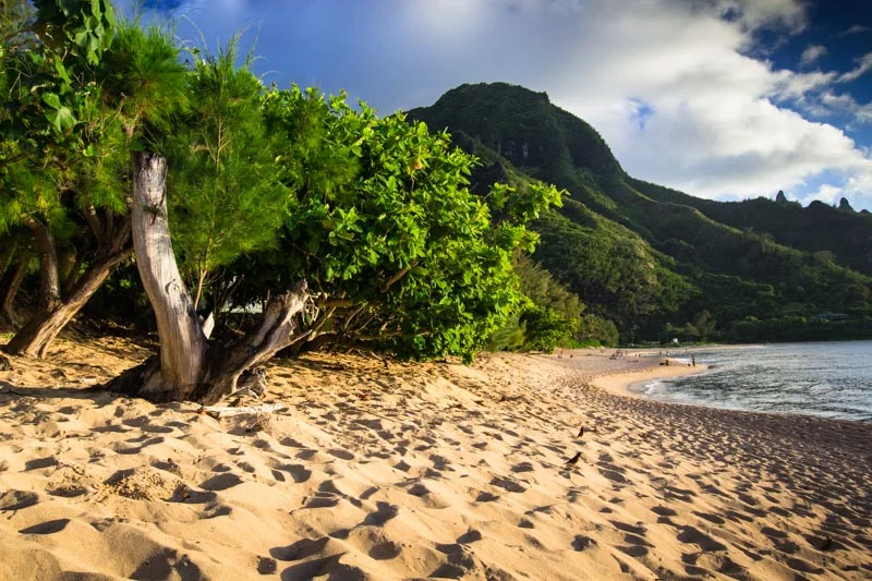 Kaui --3.jpg