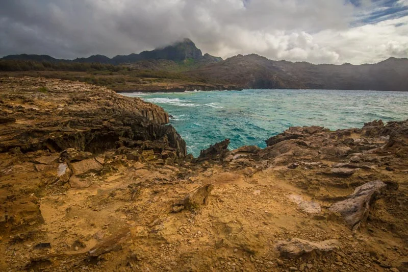Kaui -8.jpg