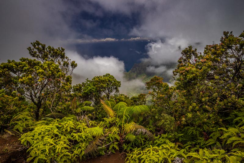 Hawaii-10.jpg