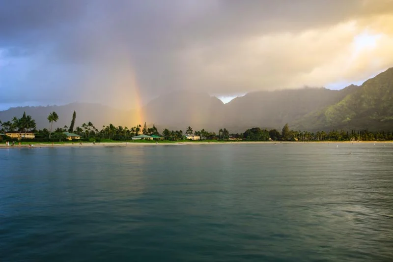 Kaui --2.jpg