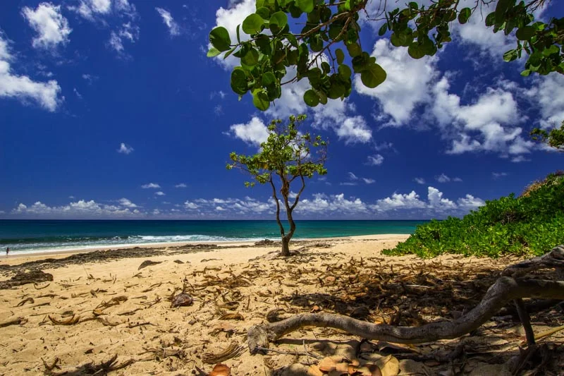 Oahu-.jpg