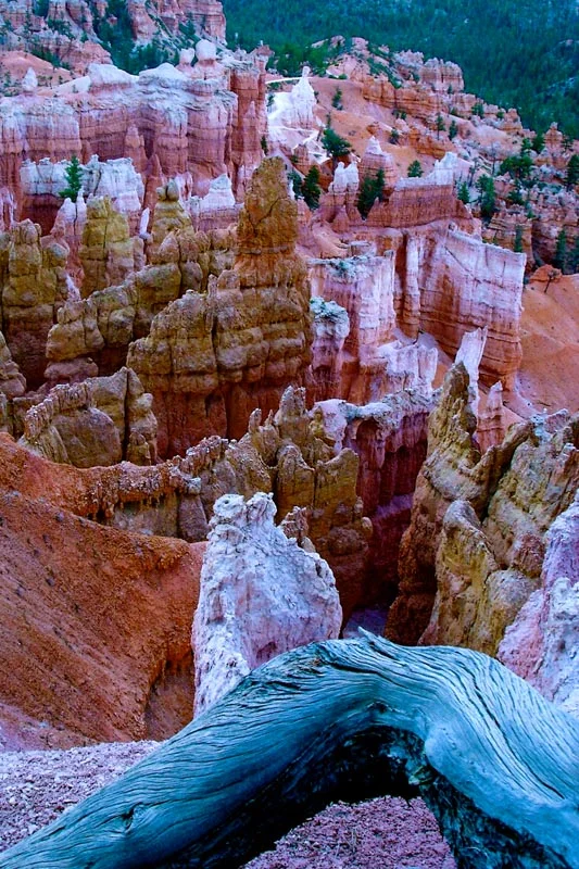 Bryce-.jpg
