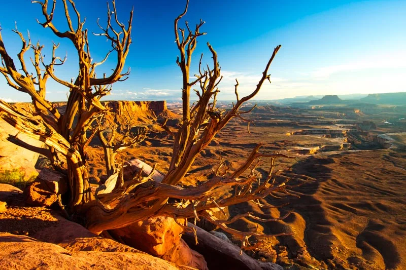 US Desert-.jpg