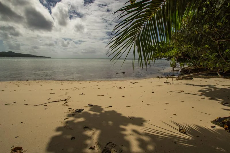 Samoa--2.jpg
